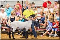 LCFair2016-2328.jpg