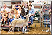 LCFair2016-2330.jpg