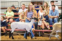 LCFair2016-2331.jpg