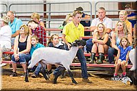 LCFair2016-2332.jpg