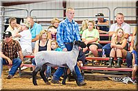 LCFair2016-2333.jpg