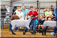 LCFair2016-2334.jpg