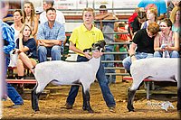 LCFair2016-2335.jpg