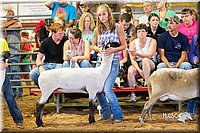 LCFair2016-2336.jpg