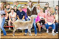 LCFair2016-2337.jpg