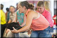 LCFair2016-2339.jpg