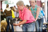 LCFair2016-2340.jpg