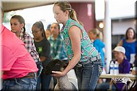 LCFair2016-2341.jpg