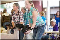 LCFair2016-2342.jpg