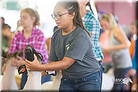 LCFair2016-2344.jpg