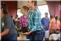 LCFair2016-2346.jpg