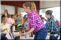 LCFair2016-2347.jpg