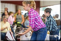 LCFair2016-2348.jpg