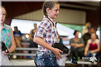 LCFair2016-2350.jpg