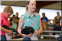 LCFair2016-2352.jpg