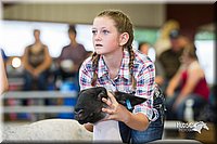 LCFair2016-2359.jpg