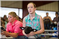 LCFair2016-2360.jpg