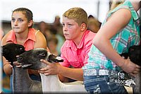 LCFair2016-2361.jpg