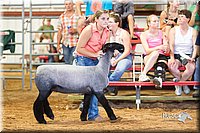 LCFair2016-2363.jpg