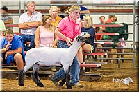 LCFair2016-2364.jpg