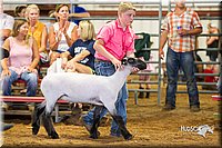 LCFair2016-2365.jpg