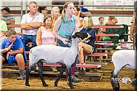 LCFair2016-2366.jpg