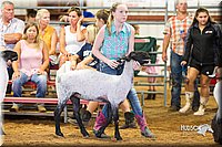 LCFair2016-2367.jpg