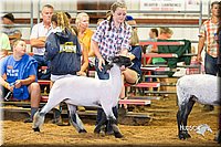 LCFair2016-2368.jpg