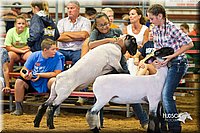 LCFair2016-2370.jpg