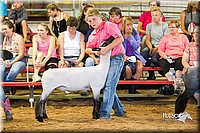 LCFair2016-2371.jpg