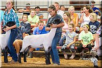 LCFair2016-2373.jpg