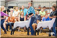 LCFair2016-2374.jpg