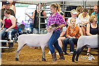 LCFair2016-2375.jpg