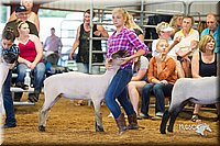 LCFair2016-2376.jpg