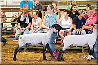 LCFair2016-2378.jpg