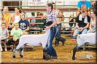 LCFair2016-2379.jpg