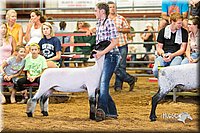 LCFair2016-2380.jpg