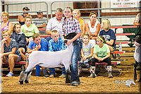 LCFair2016-2381.jpg