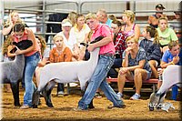 LCFair2016-2382.jpg