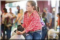 LCFair2016-2384.jpg