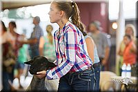 LCFair2016-2385.jpg