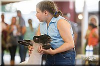 LCFair2016-2386.jpg