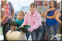 LCFair2016-2387.jpg