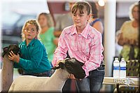 LCFair2016-2388.jpg