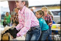 LCFair2016-2389.jpg