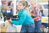 LCFair2016-2390.jpg