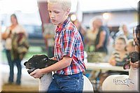 LCFair2016-2392.jpg