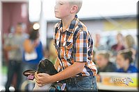 LCFair2016-2393.jpg