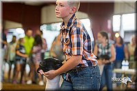 LCFair2016-2394.jpg