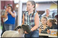 LCFair2016-2395.jpg